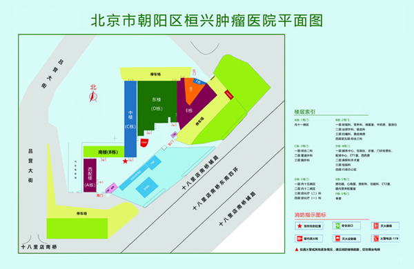 骚逼肥穴视频北京市朝阳区桓兴肿瘤医院平面图